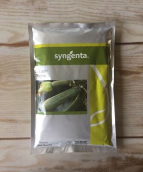 seme zucchino syngenta sigas