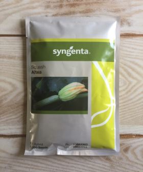 seme zucchino altea syngenta seeds