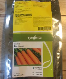 carota symgenta dordogne carrot