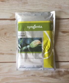 zucchino squash scudo syngenta seeds sementi