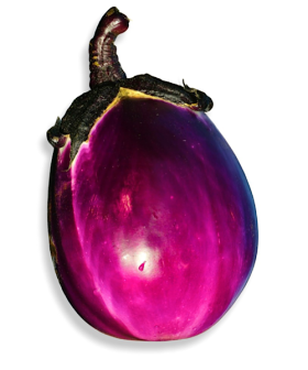 melanzana violetta seta sementi