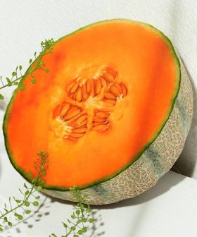 Melone - Granato F1